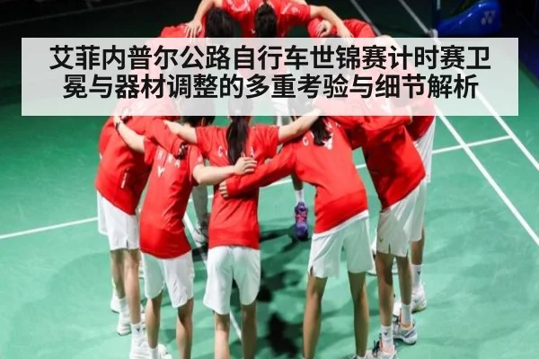 艾菲内普尔公路自行车世锦赛计时赛卫冕与器材调整的多重考验与细节解析